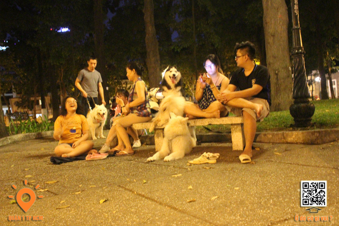 Giao lưu hội người yêu chó Sài Gòn tại quận 1 TPHCM